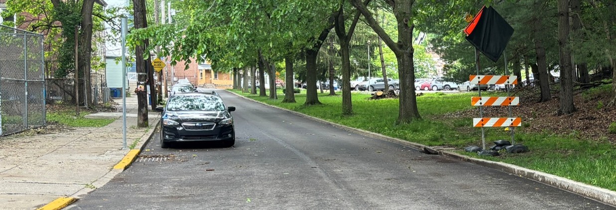 image depicting the stretch of Boundary St in the Panther Hollow neighborhood. A sidewalk adjacent to parked cars is on the left, and trees line the right side of the street